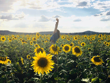 Start Your New Year With Intentions: A Guide to Embracing Your Journey